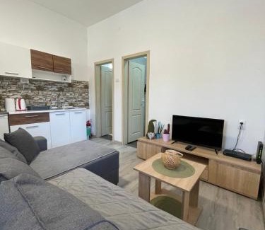 Kikinda Apartment | Apartman Arthur