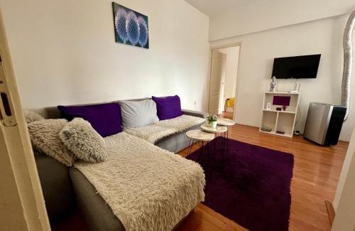 Pirot Apartment | apartman centar S