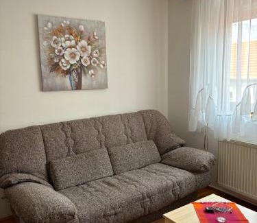 Pirot Apartment | Apartman LENKA