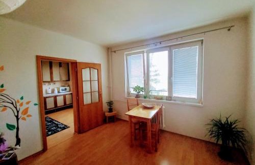 Trencin Apartment | Apartman Lienka FREE PARKING CITY CENTRE