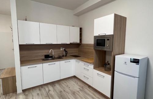 Liptovsky Mikulas Apartment | Apartman Liptov NP14