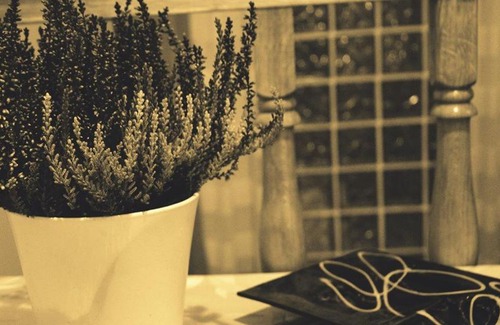 Lipik Apartment | Apartman MIMA Lipik