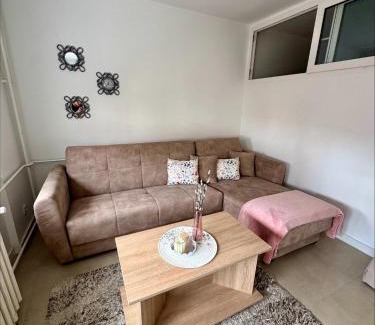 Kikinda Apartment | Apartman Nest