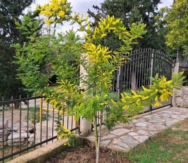 Ratisevina Apartment | Apartman Sofija HN