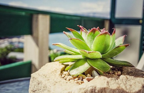 Povlja Apartment | Apartmani Ada 2