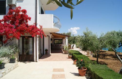 Zavala Apartment | Apartmani Braco Caratan