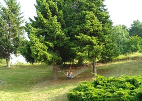 Ljubovija Apartment | Apartmani Planinska kuća, Jagodnja