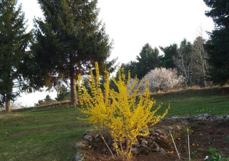 Ljubovija Apartment | Apartmani Planinska kuća, Jagodnja