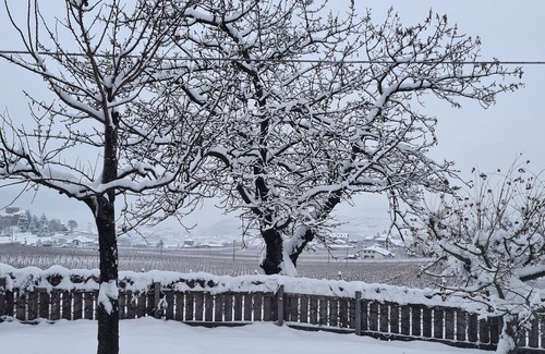 Berg/Monte Apartment | Apartments Harmony South view