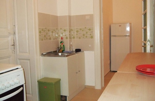 Bucharest City-Centre Apartment | Apartment 100 m2 Cismigiu Park