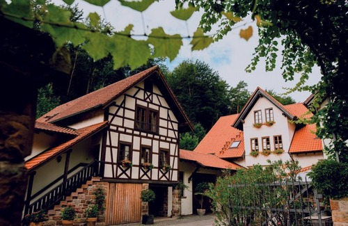 Klingenmuenster Apartment | Apartment 3 - weekly package - Weingut-Gästehaus Porzelt