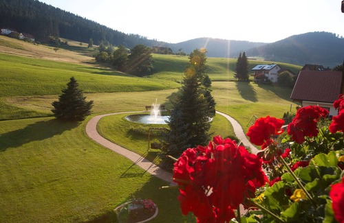 Tonbach Apartment | Apartment '30' with Mountain View, Private Terrace and Wi-Fi