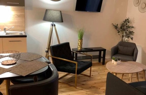 Chatel-Guyon Apartment | Apartment 4 persons air-conditioned 1 bedroom + sofa bed Puy de Jumes A03