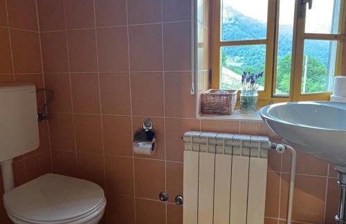 Tolmin Apartment | Apartment Abinkar