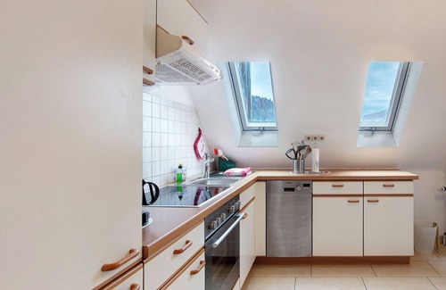 St. Blasien Apartment | Apartment 'Appartement B, 66qm' with Shared Garden, Balcony and Wi-Fi