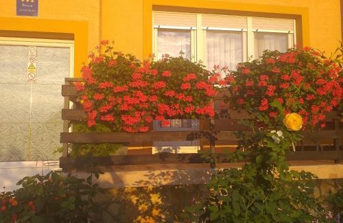 Cvetkovic Apartment | Apartment Arcadia