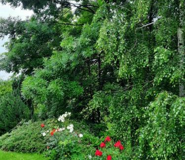 Cvetkovic Apartment | Apartment Arcadia