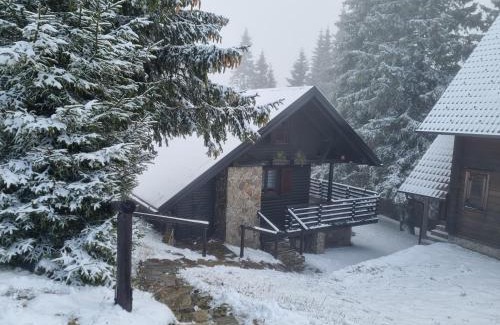 Zrece Apartment | Apartment Bajta - Rogla