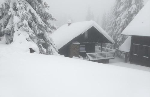 Zrece Apartment | Apartment Bajta - Rogla