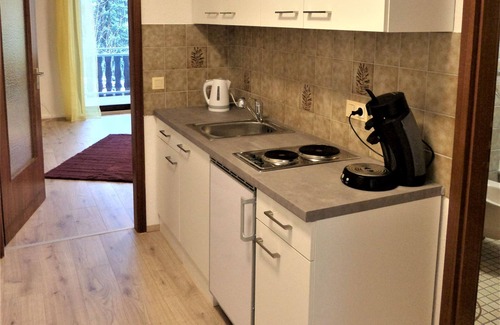 Triberg im Schwarzwald Apartment | Apartment 'Bergblick' with Balcony and Wi-Fi