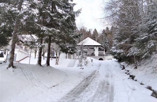Triberg im Schwarzwald Apartment | Apartment 'Bergblick' with Balcony and Wi-Fi