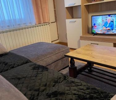 Bjelovar Apartment | Apartment Dada