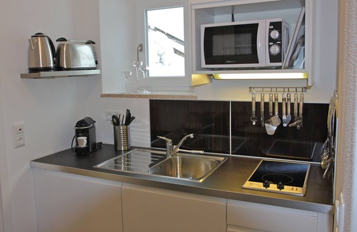 Schwob Apartment | Apartment Studio Haus Irlinger, 28 qm, Wohn-Schlafraum mit Terrasse und Liegewiese
