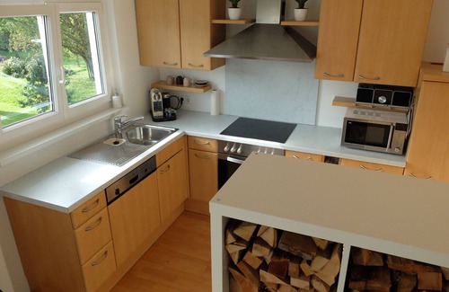 Hoechst Apartment | Apartment Elsa, view of the mountains