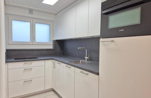 Wohlen Apartment | Apartment for 3, close to Zurich and Luzern, free private parking