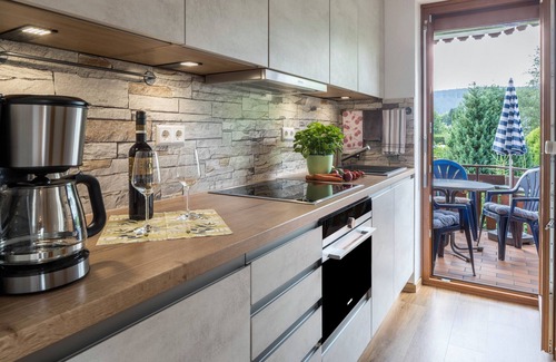 Titisee-Neustadt Apartment | Apartment 'Friedolin' with Mountain View, Private Terrace and Wi-Fi