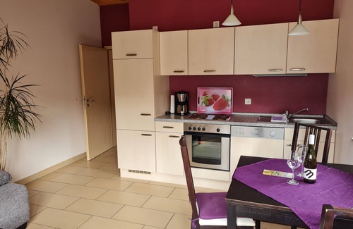 Punderich Apartment | Apartment "Goldlay", relaxing vacation in a holiday winery