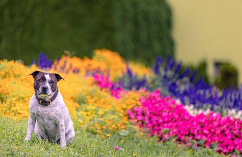 Eisenerz Apartment | Apartment in Alps With Stunning Views