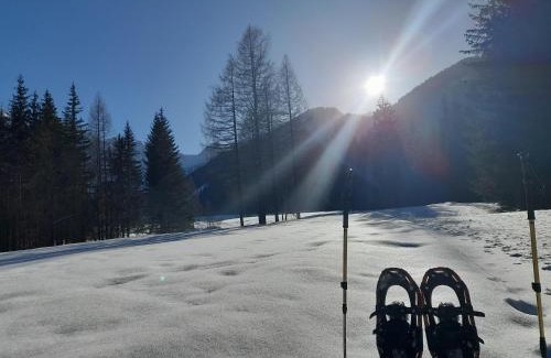 Bodental Apartment | Apartment in Bodental near Ski Slopes