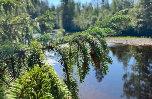 Marbacken Apartment | Apartment in Lekvattnet