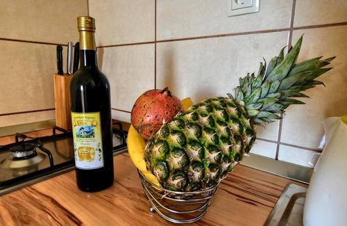 Pisak Apartment | Apartment in Pisak with Seaview, Terrace, Air condition, WIFI (77-2)