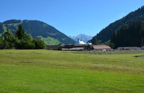 Zweisimmen Nr Gstaad Apartment | Apartment Jacqueline 12 by Interhome