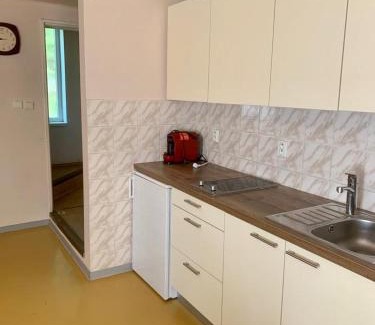 Senec Apartment | Apartment Jane