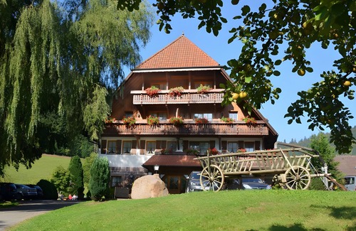 Ehlenbogen Apartment | Apartment 'Kinzigstuben' with Mountain View, Shared Terrace and Wi-Fi