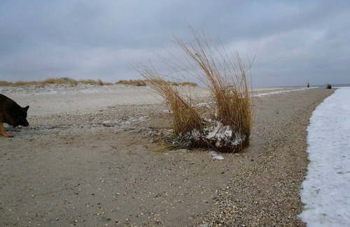 Horumersiel Apartment | Apartment 'Korthals 42' with Sea View and Balcony