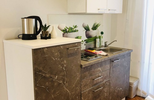 Gmunden Apartment | Apartment Kuferzeile with lake view