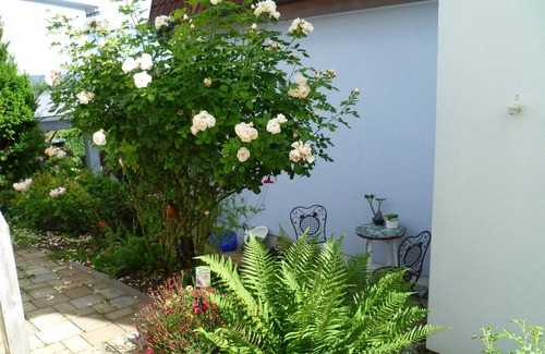 Tuttlingen Apartment | Apartment 'Loft Straussi' with Shared Garden and Wi-Fi