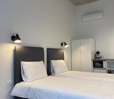 Klaipeda county Apartment | Apartment Loftas13-5