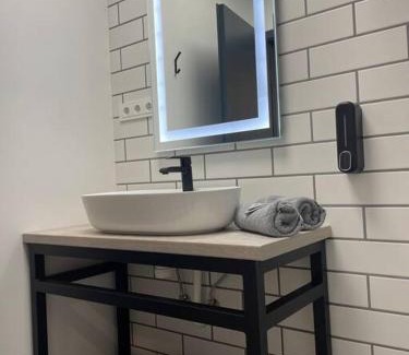 Klaipeda county Apartment | Apartment Loftas13-5