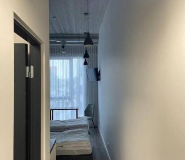 Klaipeda county Apartment | Apartment Loftas13-6