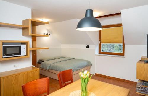 Srednja Vas v Bohinju Apartment | Apartment Markič