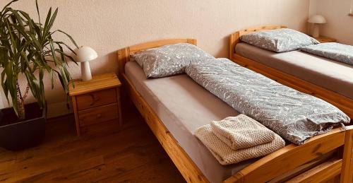 Dessau-Rosslau Apartment | Apartment mit Balkon in Roßlau