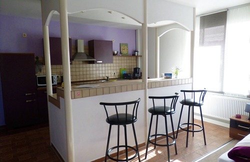 Zahna-Elster Apartment | Apartment-Mobility bath-City view-Ferienwohnung 1