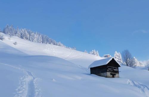 Fliess Apartment | Apartment Mountain View