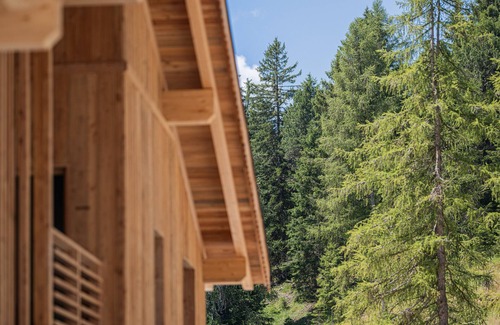 Funes Apartment | Apartment 'Munt Dolomiti Farm Alba' with Lake View, Shared Terrace and Wi-Fi