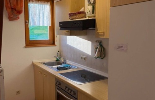 Schollach Apartment | Apartment 'Obertalblick' with Shared Terrace, Shared Garden and Wi-Fi